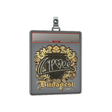 Sticker Slab | Cypher (Gold) | Budapest 2025