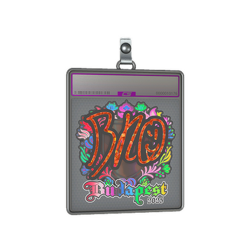 Sticker Slab | br0 (Holo) | Budapest 2025