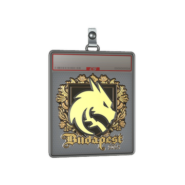 Sticker Slab | Team Spirit (Gold) | Budapest 2025