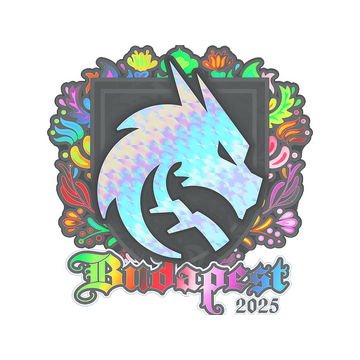 Sticker | Team Spirit (Holo) | Budapest 2025