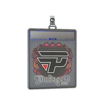 Sticker Slab | paiN Gaming | Budapest 2025