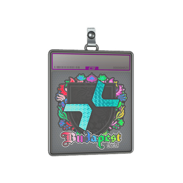 Sticker Slab | PARIVISION (Holo) | Budapest 2025