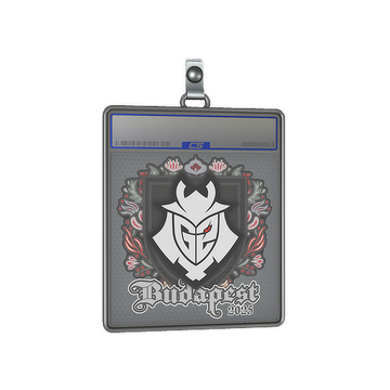 Sticker Slab | G2 esports | Budapest 2025