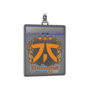 Sticker Slab | fnatic | Budapest 2025