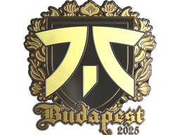 Sticker | fnatic (Gold) | Budapest 2025