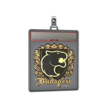 Sticker Slab | FURIA (Gold) | Budapest 2025