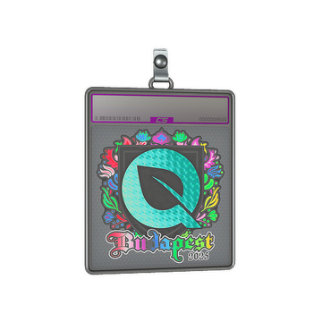 Sticker Slab | FlyQuest (Holo) | Budapest 2025