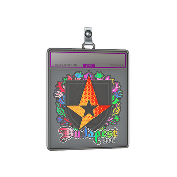 Sticker Slab | Astralis (Holo) | Budapest 2025