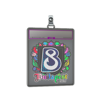 Sticker Slab | B8 (Holo) | Budapest 2025