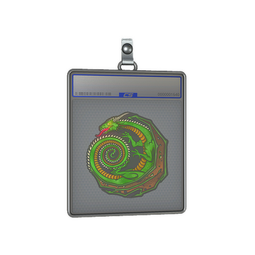 Sticker Slab | Dragon