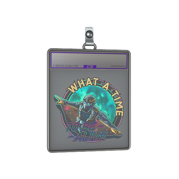 Sticker Slab | Wingsuit (Holo)