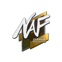 Sticker | NAF | Boston 2018