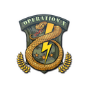 Sticker | Badge of Service