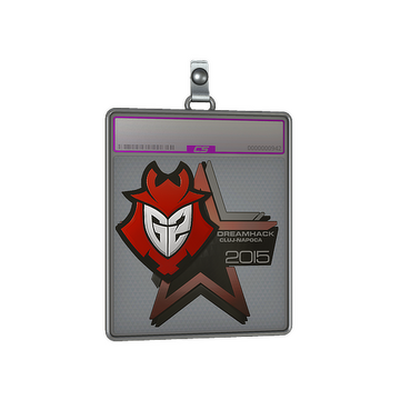 Sticker Slab | G2 Esports (Foil) | Cluj-Napoca 2015