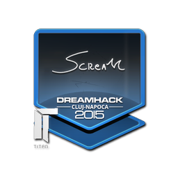 Sticker | ScreaM | Cluj-Napoca 2015