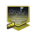 Sticker | seized | Cluj-Napoca 2015