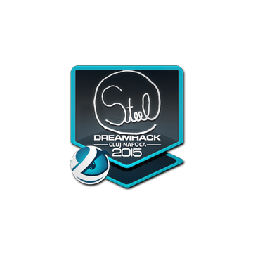 Sticker | steel | Cluj-Napoca 2015