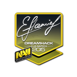 Sticker | flamie | Cluj-Napoca 2015