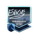 Sticker | EliGE (Foil) | Cluj-Napoca 2015