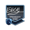 Sticker | EliGE | Cluj-Napoca 2015