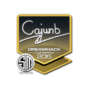 Sticker | cajunb | Cluj-Napoca 2015