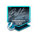 Sticker | boltz (Foil) | Cluj-Napoca 2015