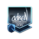 Sticker | adreN (Foil) | Cluj-Napoca 2015