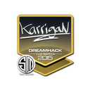 Sticker | karrigan | Cluj-Napoca 2015