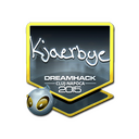 Sticker | Kjaerbye (Foil) | Cluj-Napoca 2015