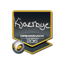 Sticker | Kjaerbye | Cluj-Napoca 2015