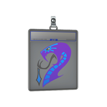 Sticker Slab | Drukhari 2