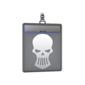 Sticker Slab | Silver Skulls