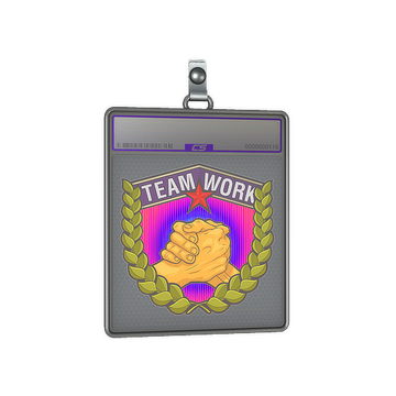 Sticker Slab | Teamwork (Holo)