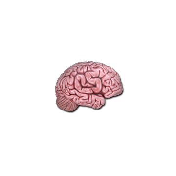 Sticker | CS On The Mind