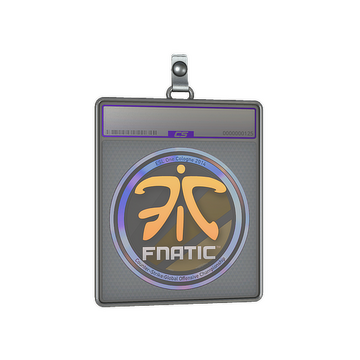 Sticker Slab | Fnatic (Holo) | Cologne 2014