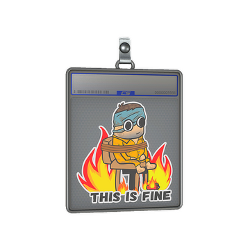 Sticker Slab | This Is Fine (H)