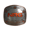 Sticker | NRG (Foil) | Austin 2025