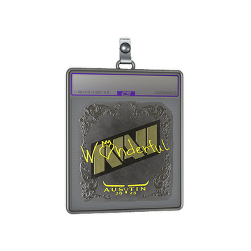 Sticker Slab | w0nderful (Foil) | Austin 2025