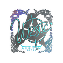 Sticker | woxic (Holo) | Austin 2025