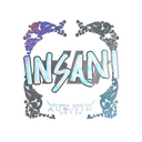 Sticker | insani (Holo) | Austin 2025