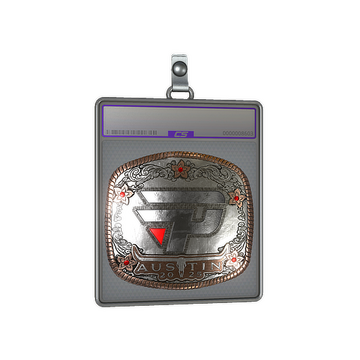 Sticker Slab | paiN Gaming (Foil) | Austin 2025