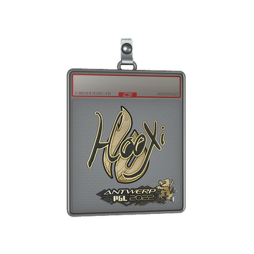 Sticker Slab | HooXi (Gold) | Antwerp 2022