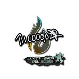 Sticker | nicoodoz (Glitter) | Antwerp 2022