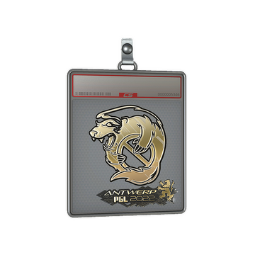 Sticker Slab | Outsiders (Gold) | Antwerp 2022