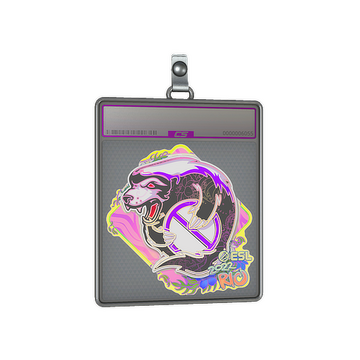 Sticker Slab | Outsiders (Holo) | Rio 2022