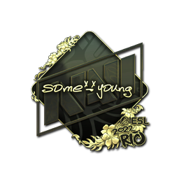 Sticker | sdy (Gold) | Rio 2022