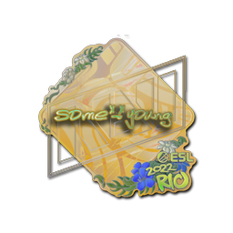 Sticker | sdy (Holo) | Rio 2022
