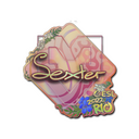 Sticker | dexter (Holo) | Rio 2022