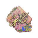 Sticker | gxx- (Holo) | Rio 2022