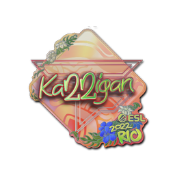 Sticker | karrigan (Holo) | Rio 2022